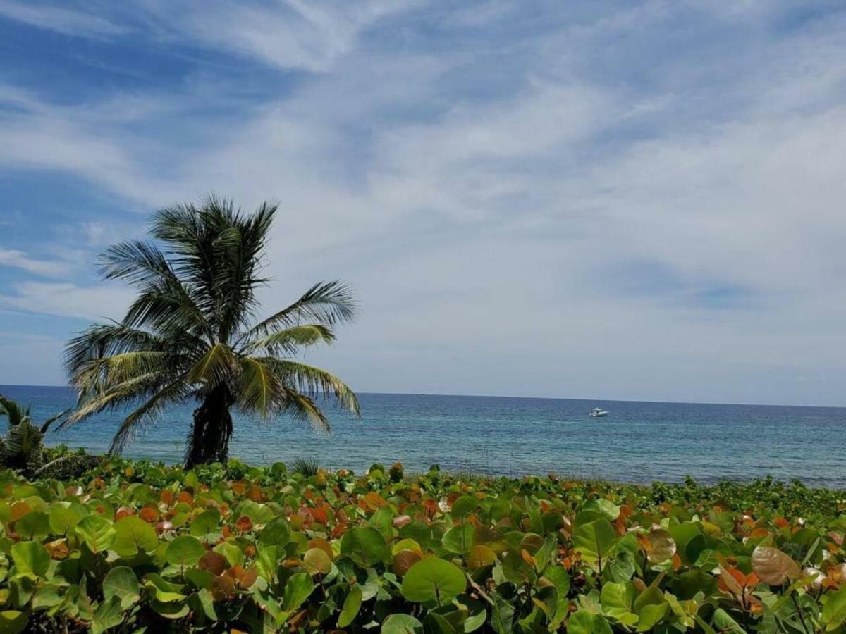 Beautiful Spacious And Luxury Delray Beach House! Near The Beach! Luaran gambar